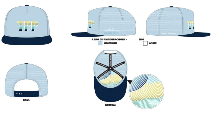 The Pighetti Project Hat